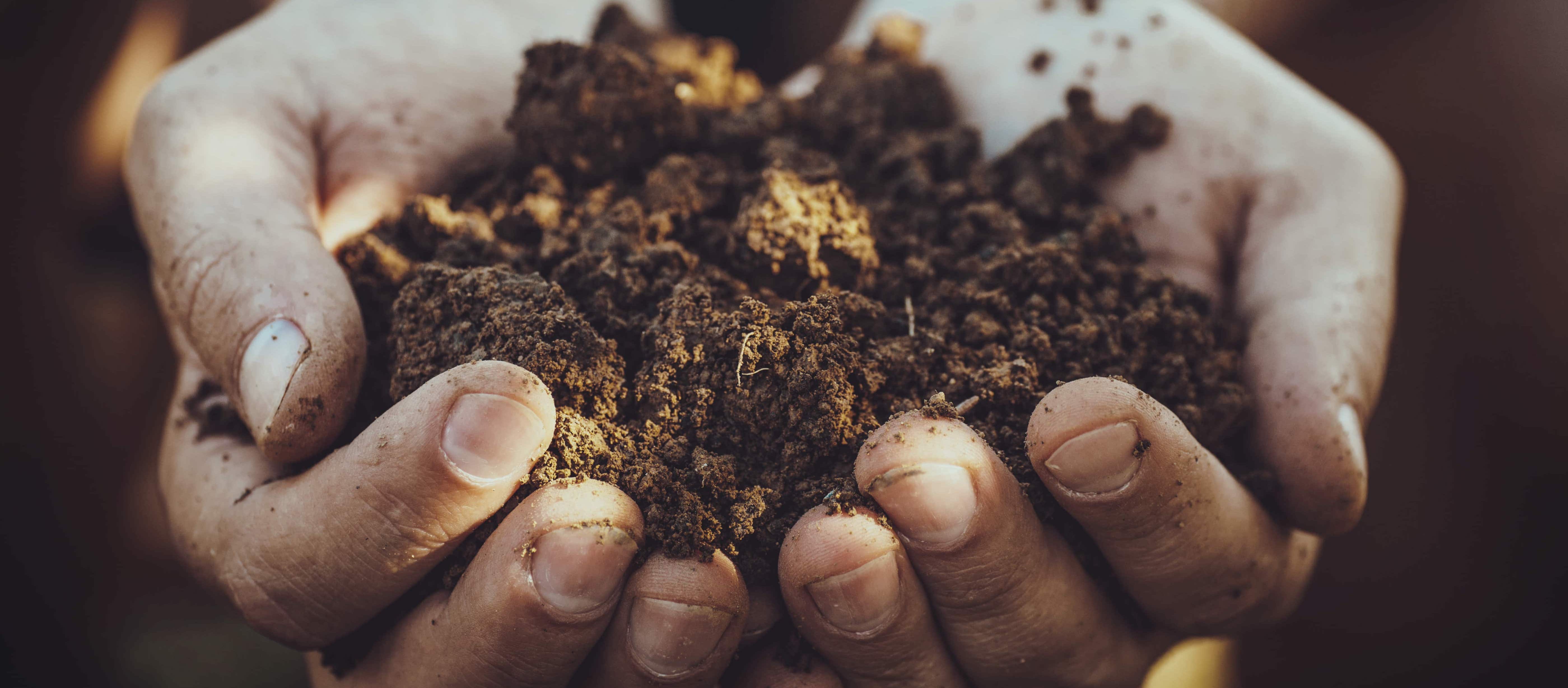 Photo of hands caring for soil