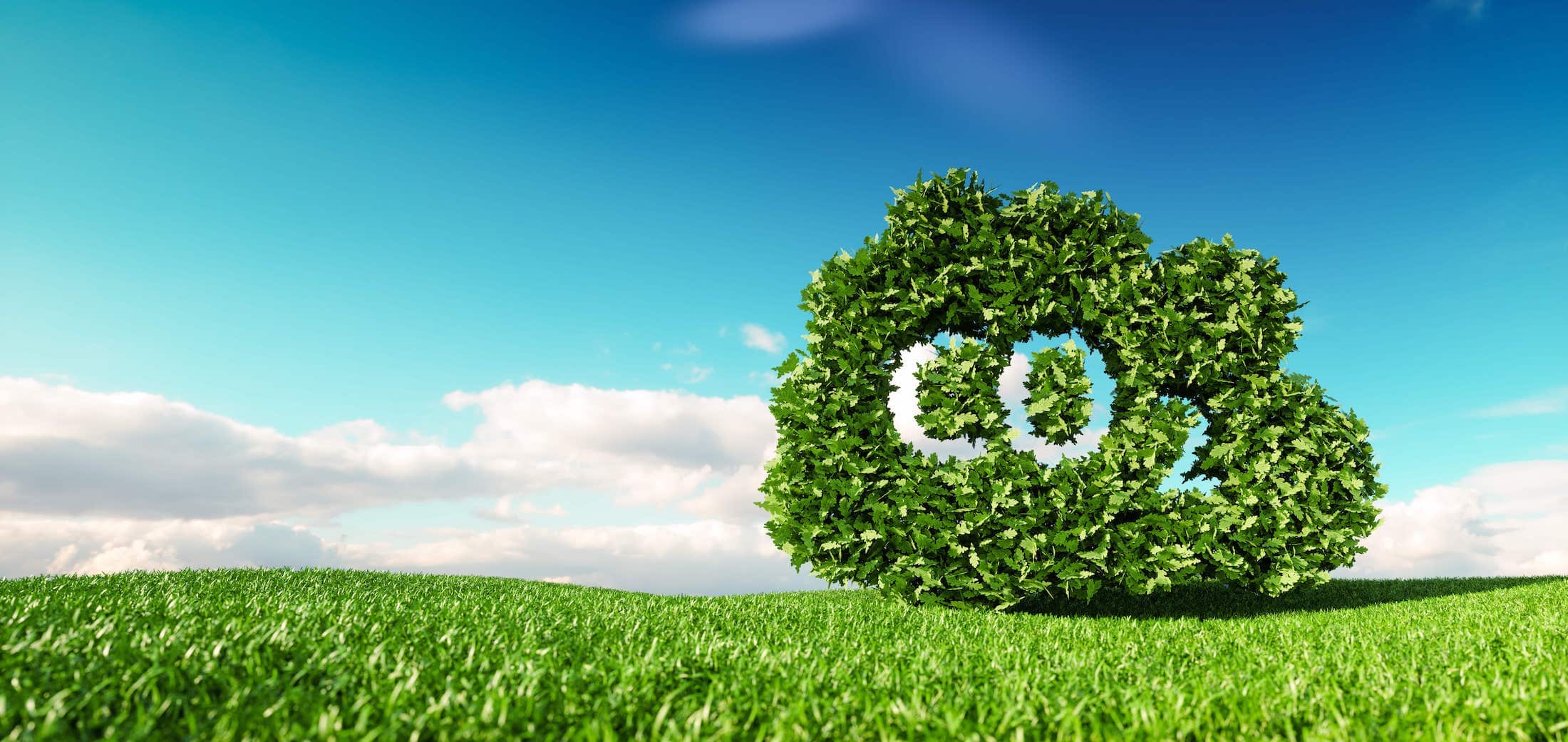 Photo of a tree shaped like a cloud that has the abbreviation 'CO2' in the branches