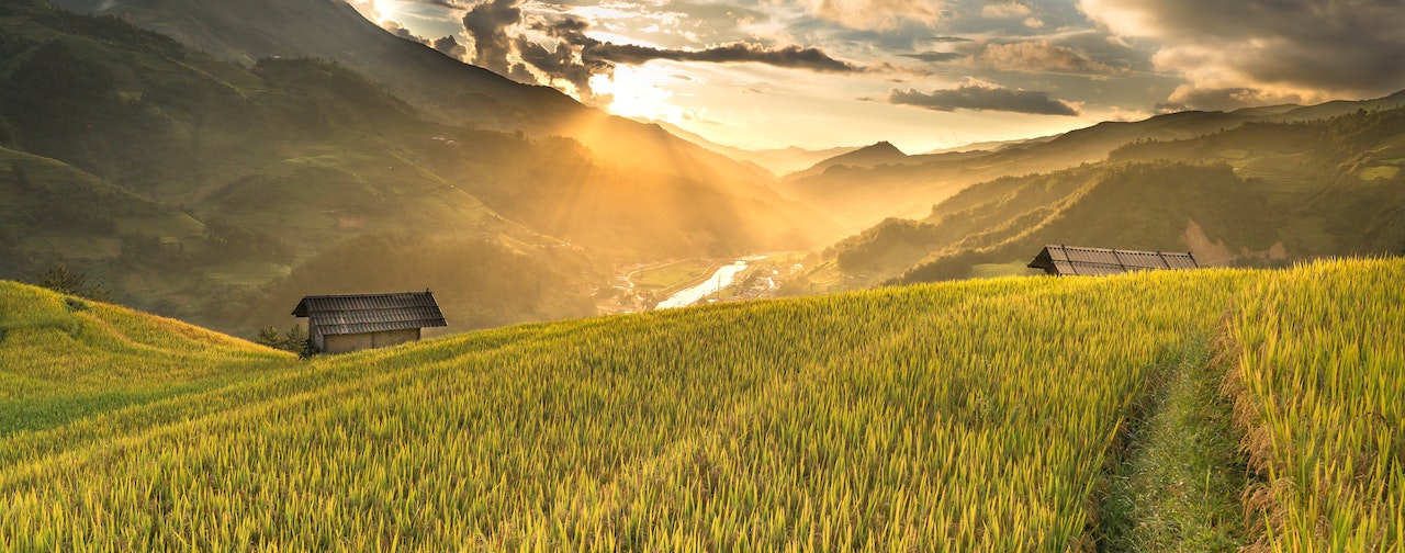 Photo of a nice field that could be anywhere.