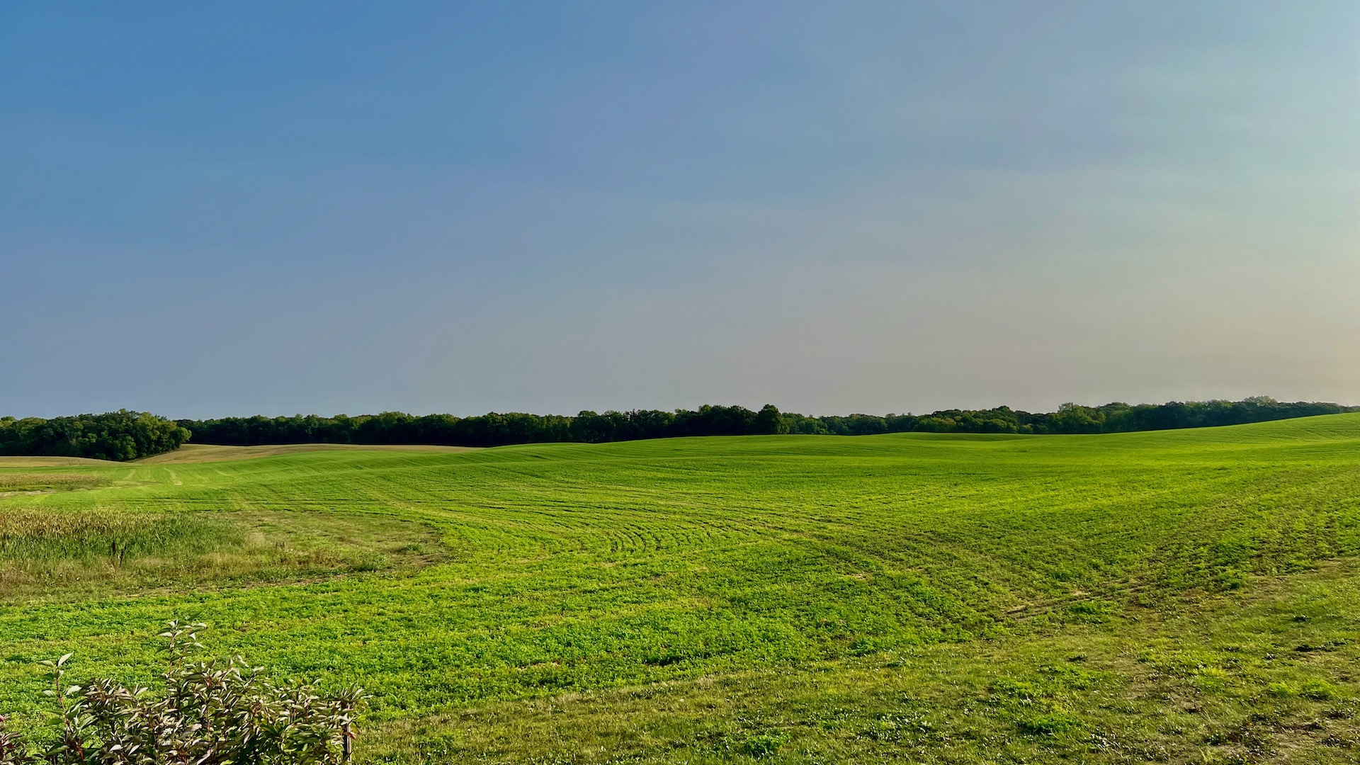 Recently harvested field, ready for soil sampling