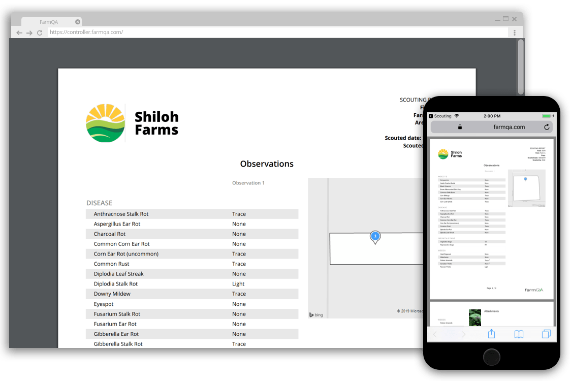 Example of PDF reports both on the web and on mobile